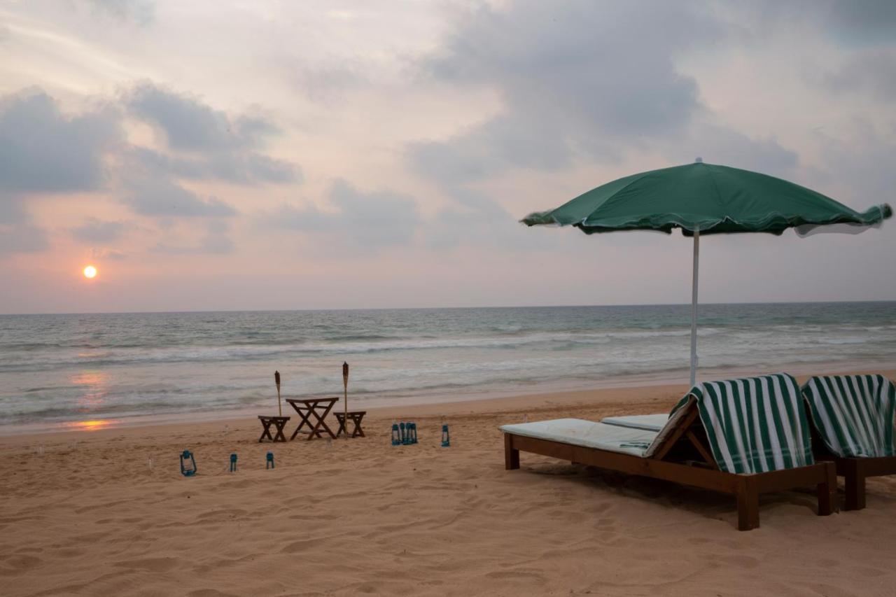 Palm Beach Inn & Sea Shells Cabanas Bentota Extérieur photo