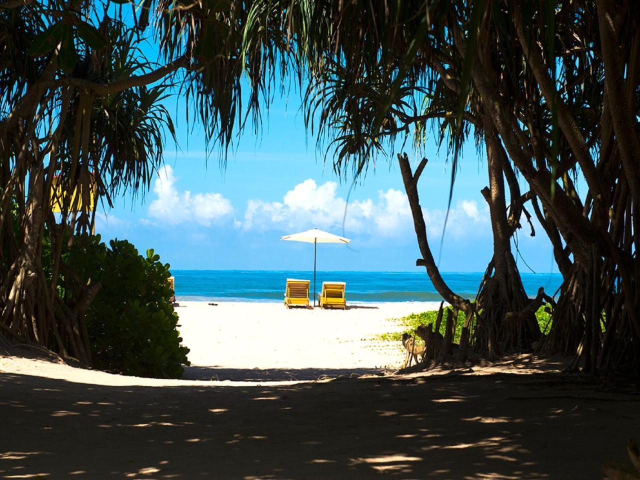 Palm Beach Inn & Sea Shells Cabanas Bentota Extérieur photo